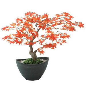 lHϗtA }~W {E RED |bgt 45cm iP121-99520) isj CeAO[ tFCNO[
