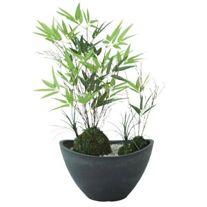 lHϗtA ~jTT {E |bgt 45cm iP121-99525) isj CeAO[ tFCNO[