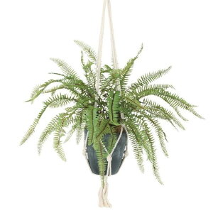 lHϗtA \[ht@ nLO |bgt 35×40iS75jcm iP118-99538) isj CeAO[ tFCNO[