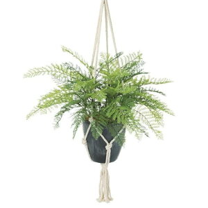 lHϗtA tFU[t@ nLO |bgt 35iS75jcm iP118-99548) isj CeAO[ tFCNO[