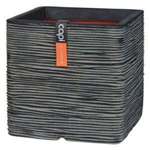 CeA |bg v^[ Capi Europe lC`[ uXNGA STCY iANj 30cm iP159-99578) isj lHؗp