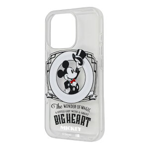 iPhone16Pro �P�[�X �f�B�Y�j�[ �~�b�L�[ �N���A ���� MagSafe �}�O�l�b�g �Ή� �Ռ��z�� TPU �\�t�g �L�����N�^�[ �O�b�Y �X�}�z �J�o�[ �G�A�N�b�V���� iPhone 2024 6.3inch 3�� �A�C�z�� �A�C�t�H�� �v