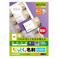 なっとく名刺 マイクロミシン インクジェット光沢紙 厚口 120枚 白 MT-KMN2WN MT-KMN2WN エレコム ELECOM