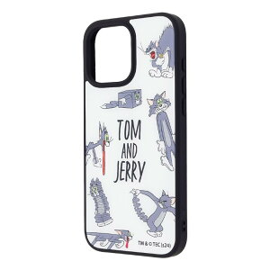 iPhone16ProMax P[X gƃWF[ g ȃg MO LN^[ ObY ϏՌ X}z Jo[ GANbV nCubh iPhone 2024 6.9inch 3 ACz ACtH v}bNX 