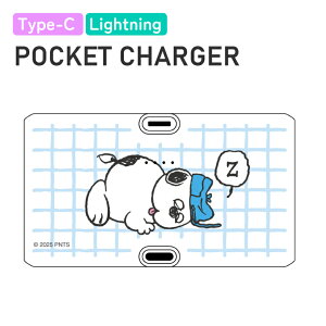 Xk[s[ oCobe[ PEANUT LN^[ ObY X}z ^ [d ^ }^Cv ڏ[d [dP[usv X}z iPhone Lightning Android type-C hЃObY ΂イ 