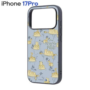 iPhone17Pro P[X fBYj[ ܂̃v[ Ԃ LN^[ ObY Ռz nCubh ی X}z Jo[ n[h iPhone 2025 6.3inch 3 ACz ACtH maru IQ-DP53K4TB-PO60