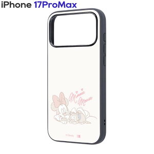 iPhone17ProMax P[X fBYj[ ~j[ tBK Q gc񂿂̃t@~[L R{ LN^[ ObY X}z Jo[ iPhone 2025 6.9inch 3 ACz ACtH maru IC-DP55K4TB-MN34-IF01