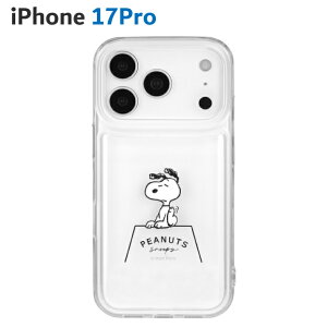 Xk[s[ iPhone17Pro P[X NA  s[ibc LN^[ ObY X}z Jo[ GANbV nCubh ϏՌ iPhone 2025 6.3inch 3 ACz ACtH  킢 IIIIf