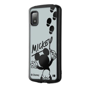 AQUOSwish3 P[X fBYj[ ~bL[ NA  LN^[ ObY ^bN TC X}z ϏՌ TPU \tg ^bN t[ SH-53D docomo SHARP V[v METAMORU IN-DAQL1TC13B-MK13