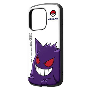 iPhone15Pro P[X |P QK[ LN^[ ObY |PbgX^[ X^_[h ϏՌ nCubh ی X}z Jo[ n[h ACtH ACz MiA IN-PP42AC4-GGA1