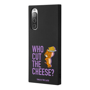 Xperia10V P[X gƃWF[ ubN  WF[ `[Y LN^[ ObY ϏՌ X}z Jo[ GANbV nCubh XNGA p VGbg tH GNXyA SONY \