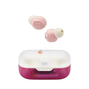 CXCz Bluetooth 5.3 x ^b`ZT[ ^ y iPhone iPad Android eΉ z AACΉ ^ Type]C [d C`S