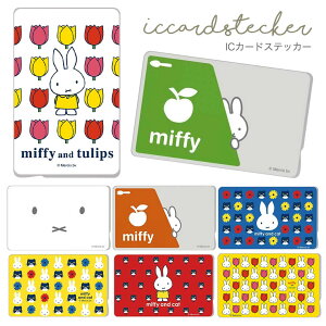 ICJ[hXebJ[ ~btB[ tFCX O[ IW L `[bv V[ fR lی \蒼ȒP ʋ ʊw L 킢  suica CO IN-BICS-MF