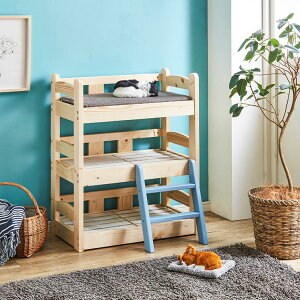 ybgxbh 3ixbh i` fUC u[ nVSt k pC tBh ؐ VR Ebh ̂ CeA  킢  L Lbg ˂ ˂ 