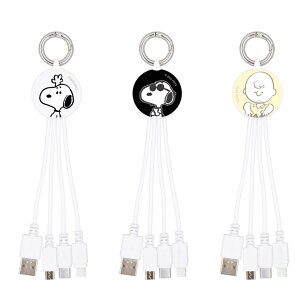 Xk[s[ [d P[u 3in1 iPhone Android LN^[ ObY s[ibc W[N[ `[[uE Lightning Type-C micro USB X}z [d }` R[h ֗  Jrit ^