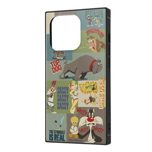 iPhone 14 Pro P[X [j[e[Y gD[C[eB[ obOXoj[ W J[L 킢  Xgbvz[ XNGA GANbV Ռɋ Ռz Vv LN