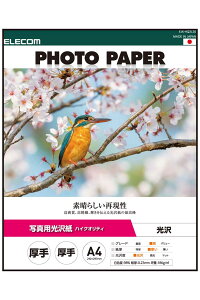 GR v^[p ʐ^p A4 20  O[h  ʐ^vgp zCg