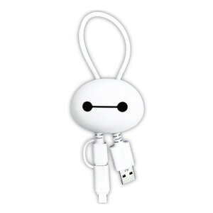 fBYj[ xC}bNX v[ [dP[u Type-C Type-A Lightning microUSB LN^[ ObY 킢 }XRbg X}z [d  R[h  [d P[u DNG-244