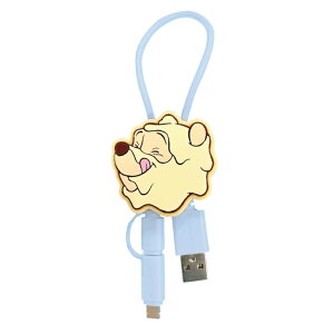 fBYj[ xC}bNX v[ [dP[u Type-C Type-A Lightning microUSB LN^[ ObY 킢 }XRbg X}z [d  R[h  [d P[u DNG-244