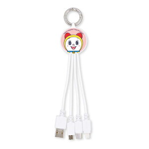 h [d P[u Type-C Type-A Lightning microUSB LN^[ ObY X}z [d  R[h  }`[dP[u DR-145