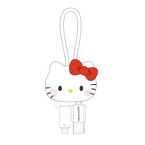 TI [dP[u Type-C Type-A Lightning microUSB LeB }CfB N~ Vi[ LN^[ ObY 킢 }XRbg X}z [d  R[h  [d P[u SANG-507