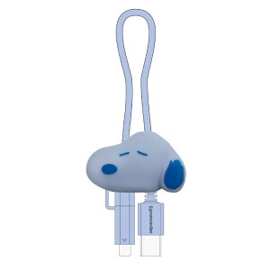 Xk[s[ [dP[u Type-C Type-A Lightning microUSB s[ibc LN^[ ObY 킢 }XRbg X}z [d  R[h  [d P[u SNGG-244