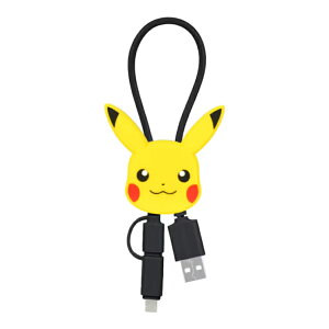 |P [dP[u |PbgX^[ sJ`E QK[ ^ JrS ~E LN^[ ObY Type-C Type-A Lightning microUSB 킢 }XRbg X}z [d  R[h  