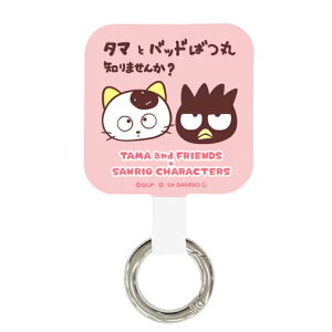 TI Xgbvz_[ }`OvX ^}tY R{  LN^[ ObY Jri O Ԃ牺 X}z ANZT[ tpp[c SANTA-04