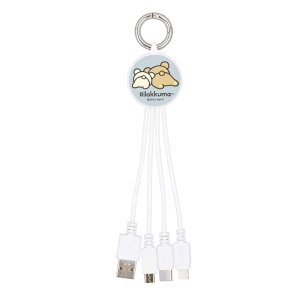bN} [d P[u Type-C Type-A Lightning microUSB LN^[ ObY X}z [d  R[h  }`[dP[u Rilakkuma GRC-366