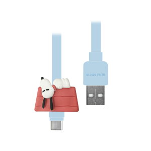 Xk[s[ [dP[u Type C X}z [d P[u }XRbg s[ibc LN^[ ObY IV 킢  R[h USB X}z ^ubg SNGG-77