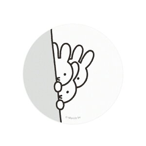 ~btB[ R[h[ P[X 胊[ {X Ђ LN^[ ObY  킢 ֗  ^ g s o MF-386