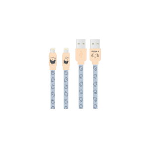 ~btB[ [dP[u iPhone Lightning CgjO LN^[ ObY {X Ђ u[ O[ sN x[W  [d P[u USB X}z iPad apple i  MF-387