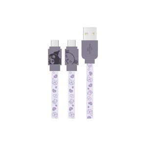 TI [dP[u Type C X}z N~ }CfB Vi[ LeB LN^[ ObY  [d P[u USB X}z Android  SANG-304