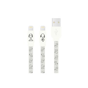 Xk[s[ [dP[u iPhone Lightning CgjO s[ibc LN^[ ObY AC{[ ubN sN  [d P[u USB X}z iPad apple i  SNG-743