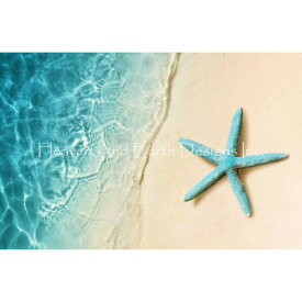 クロスステッチ キット Mini Starfish On The Sand Beach 25ct-HAED(Heaven and Earth Designs)上級者 全面刺し