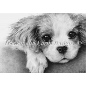 クロスステッチ キット 上級者 全面刺し犬 Mini Little Puppy 25ct - Heaven And Earth Designs(HAED)
