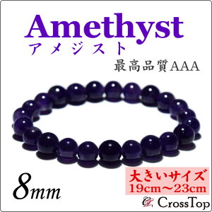 y傫TCYE19cm`23cmzVR AWXg uXbg 8mm AAAi3Ajp[Xg[ 쐔 O AWXguXbg oO A uX  p[v ̎ ^̈ A