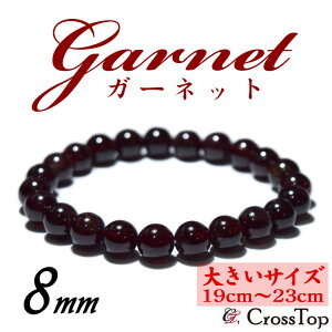 傫TCY 19cm`23cm VR K[lbg uXbg 8mm p[Xg[ 쐔 O K[lbguXbg uX  bh ڕWB  AE  iF ͔ p[Xg[