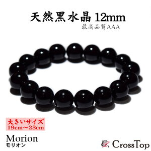 y傫TCYE19cm`23cmzi I  uXbg 10mm AAA 3A p[Xg[ VR VR 쐔 O  oO Y fB[X ׋C   J^