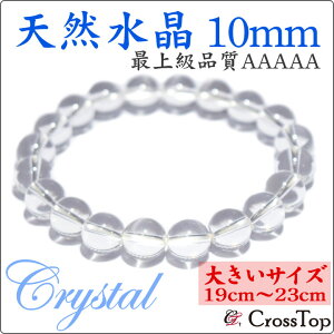 y傫TCY 19cm`23cmz ōi AAAAA VR uXbg 10mm 5A p[Xg[ VR  NH[c NX^ 쐔 O ō J^    肢  ^UP F V