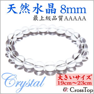 y傫TCY 19cm`23cmz ōi AAAAA VR uXbg 8mm 5A p[Xg[ VR  NH[c NX^ 쐔 O uXbg ō J^    肢 