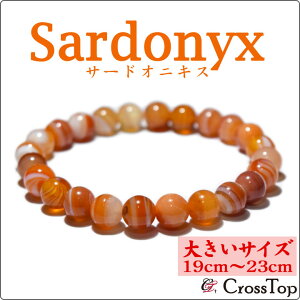 y傫TCYE19cm`23cmzVR T[hIjLX uXbg 8mmp[Xg[ 쐔 O IW  bh ԊF Ȗ͗l F vw~ ƒ~ ǉ q A ~  V