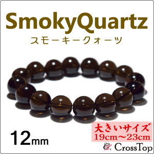 y傫TCYE19cm`23cmzX[L[NH[c uXbg 12mm VR p[Xg[ 쐔 O X[L[NH[cuXbg   XgX s  _ 