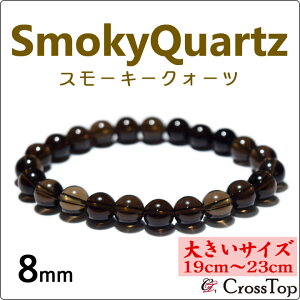 y傫TCYE19cm`23cmzX[L[NH[c uXbg 8mm VR p[Xg[ 쐔 O X[L[NH[cuXbg   XgX s  _ 