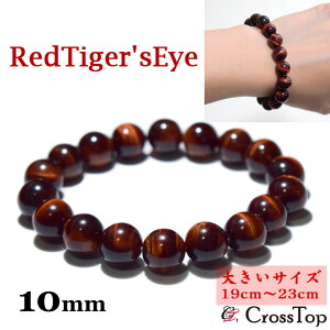 傫TCY 19cm`23cm ōi AAA bh^CK[AC uXbg 10mm 3A VR p[Xg[ Y fB[X 쐔 O bh^CK[ACuXbg oO uX Ֆڐ 