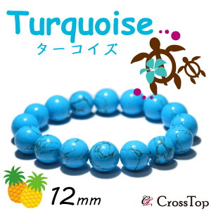 ^[RCY uXbg 12mmnCAWG[ p[Xg[ nCA ^[RCYuXbg gR nCAuXbg nC HAWAIIAN ^[RCYuX nCAu