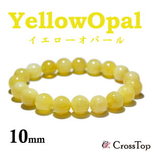 VR CG[Ip[ uXbg 10mmp[Xg[ 쐔 O CG[Ip[uXbg Ip[ CG[ F  Y fB[X K ȕ\ A  J