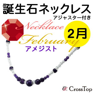 VR a lbNX AWXg AWX^[t 42cm p[Xg[    p[v AWXglbNX 2 J^ v[g  ޏ a