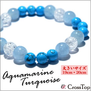 y傫TCYE19cm/20cmz^[RCY ANA} uXbg VR p[Xg[ NbN uXbg AAAi3Aj gR C } nCAWG[ a Y f