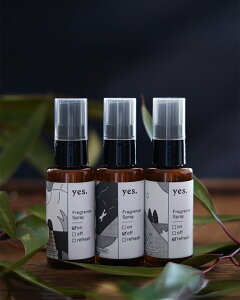 CGX. yes. tOX Xv[ 50ml VR I[KjbN e RX Mtg